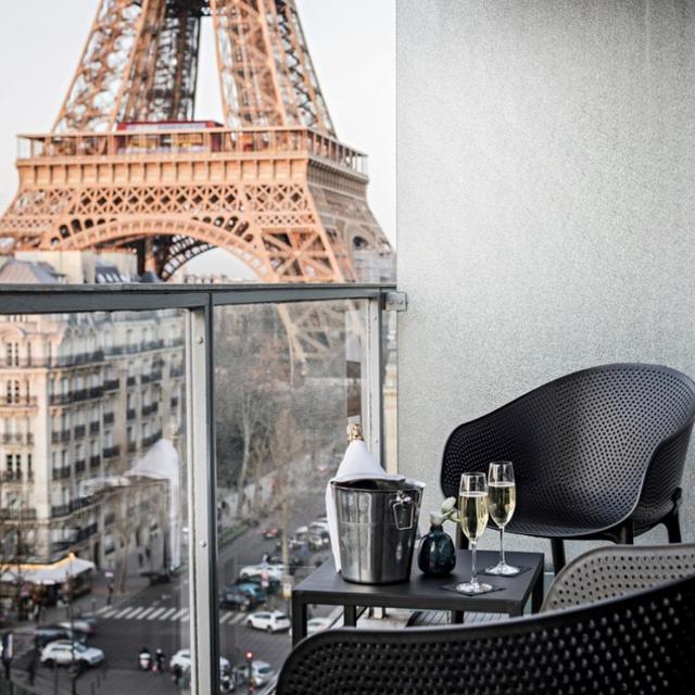 Our Paris Stay - Pullman Hotel, Louvre Museum, First Honeymoon Dinner