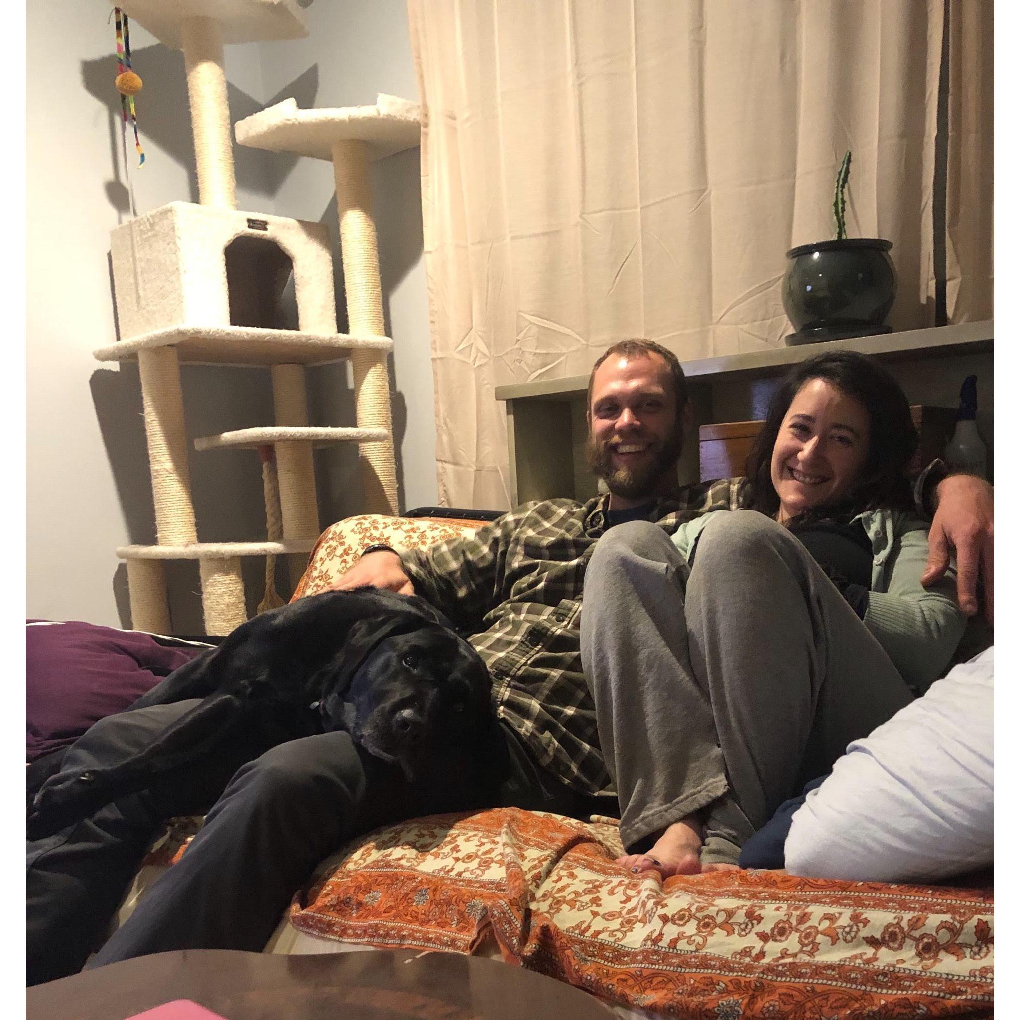 Hanging at Kirsty's Burlington Apartment 2019