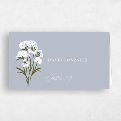 Cloud Gray, Grey Wedding Place Card - Nelia