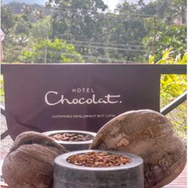 Chocolate Making Tour