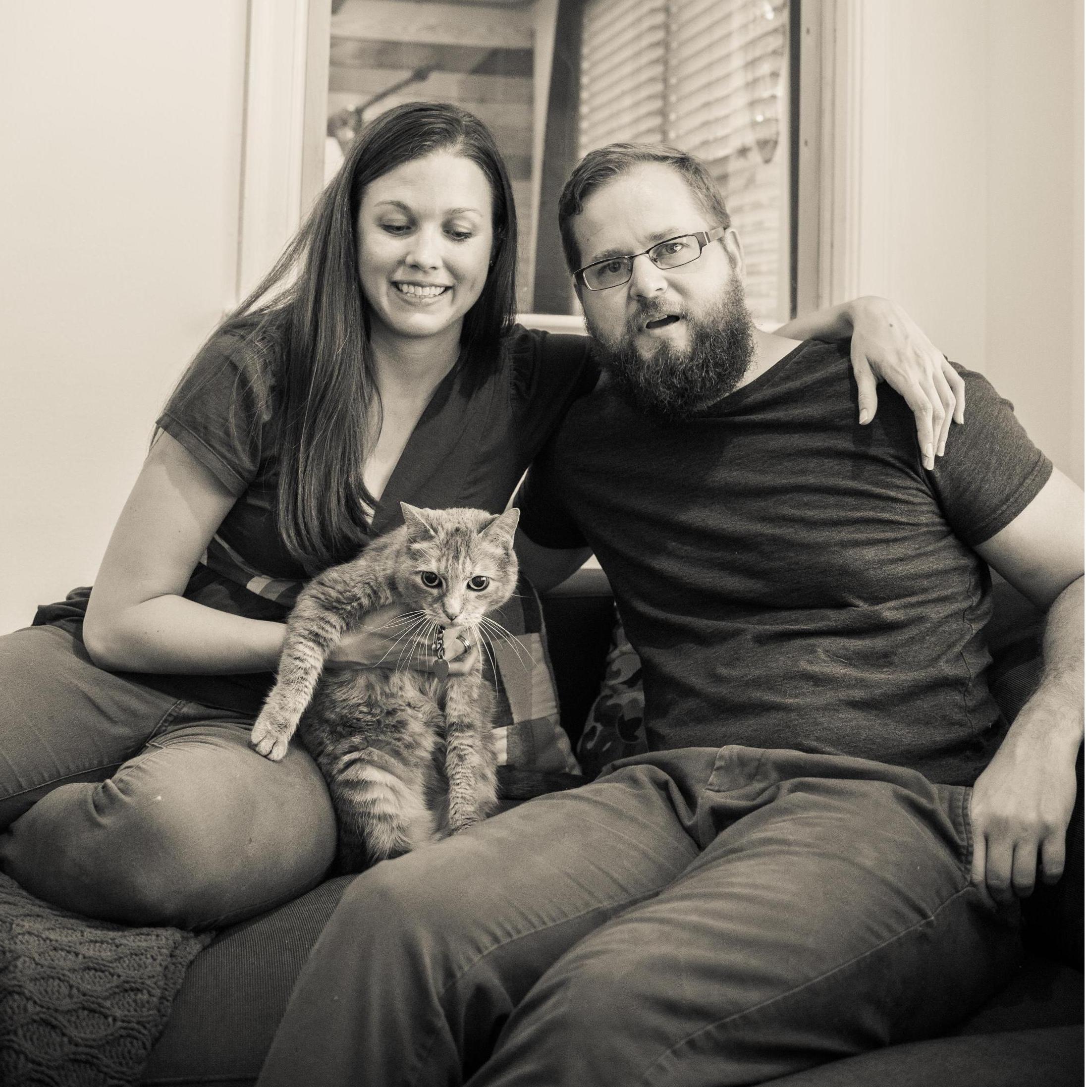 We love our cats!