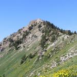 Mount Raymond