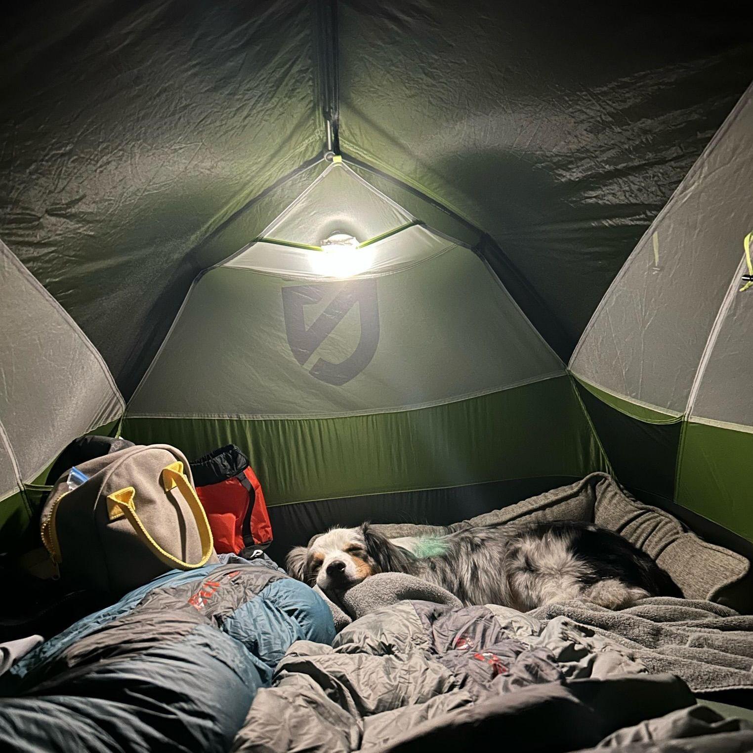 Camping with Jun!