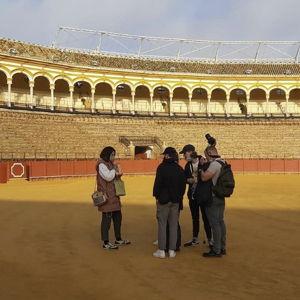 Seville Bullring: Guided Tour