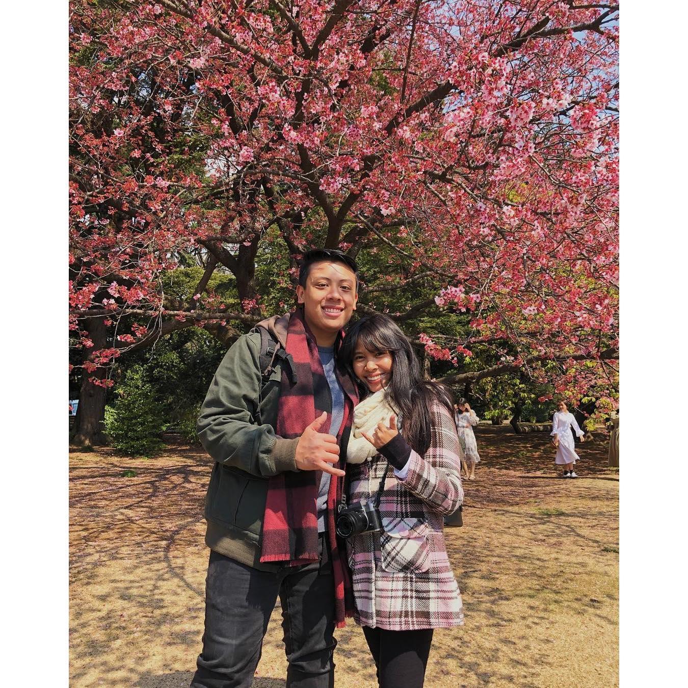 Our dream of seeing Sakura trees🌸 life is more Sakura colored with eachother 😌