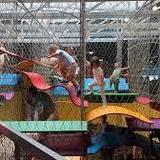 The Children’s Museum of the Upstate