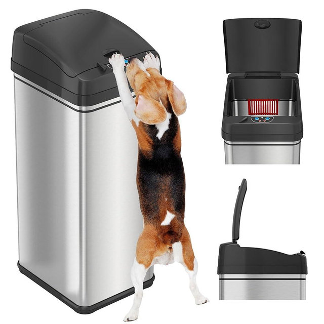 iTouchless 13 Gallon Sensor Trash Can 2.0 – Touchless Lid, Dog-Proof Lock, Odor Filter, Stainless Steel, Battery or Plug-in, for Kitchen, Home, or Office