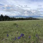 Blue Mountain Trailhead (hike & bike)