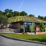 Saracina Vineyards