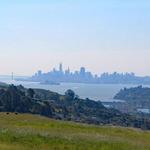 Ring Mountain Preserve