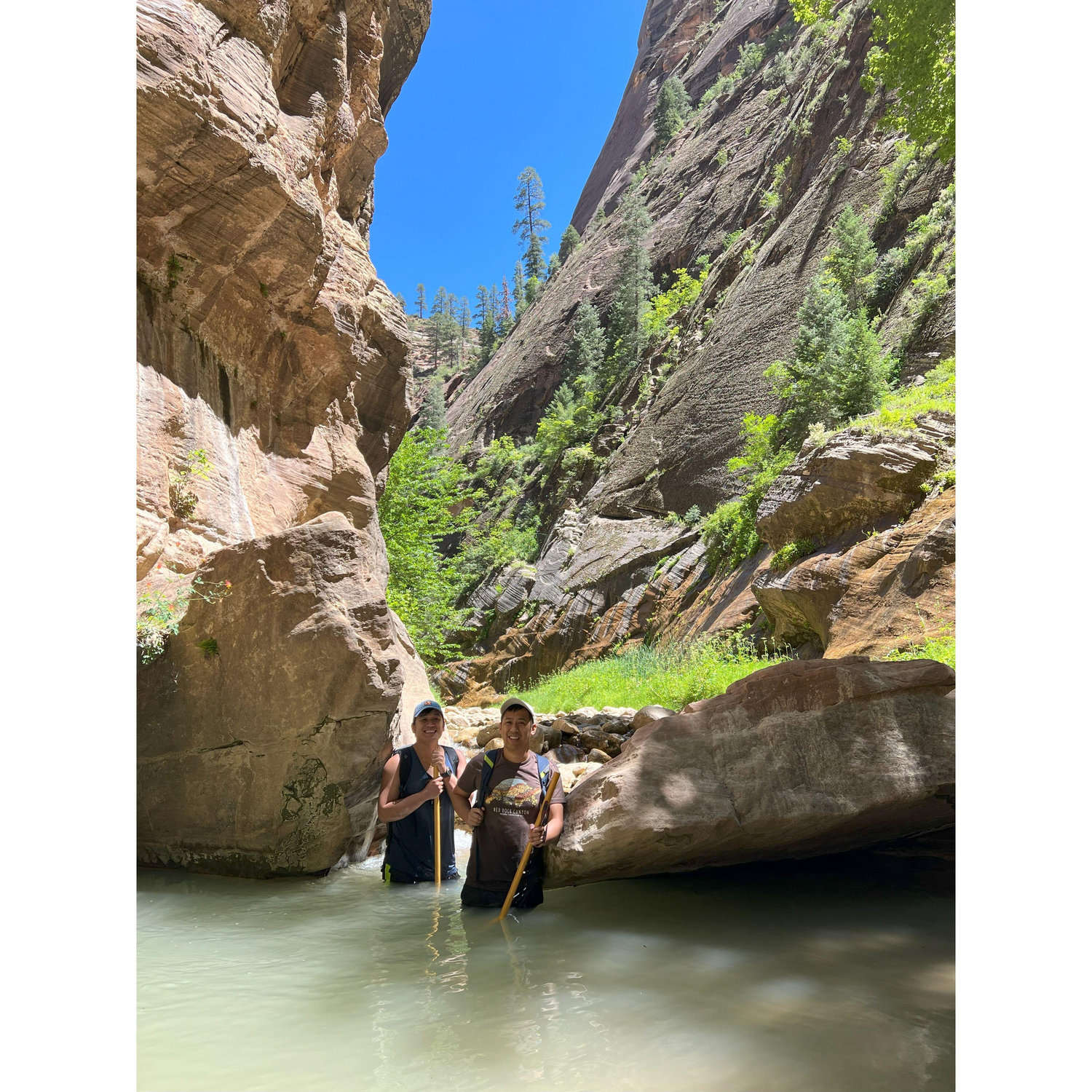 We do like Zion!