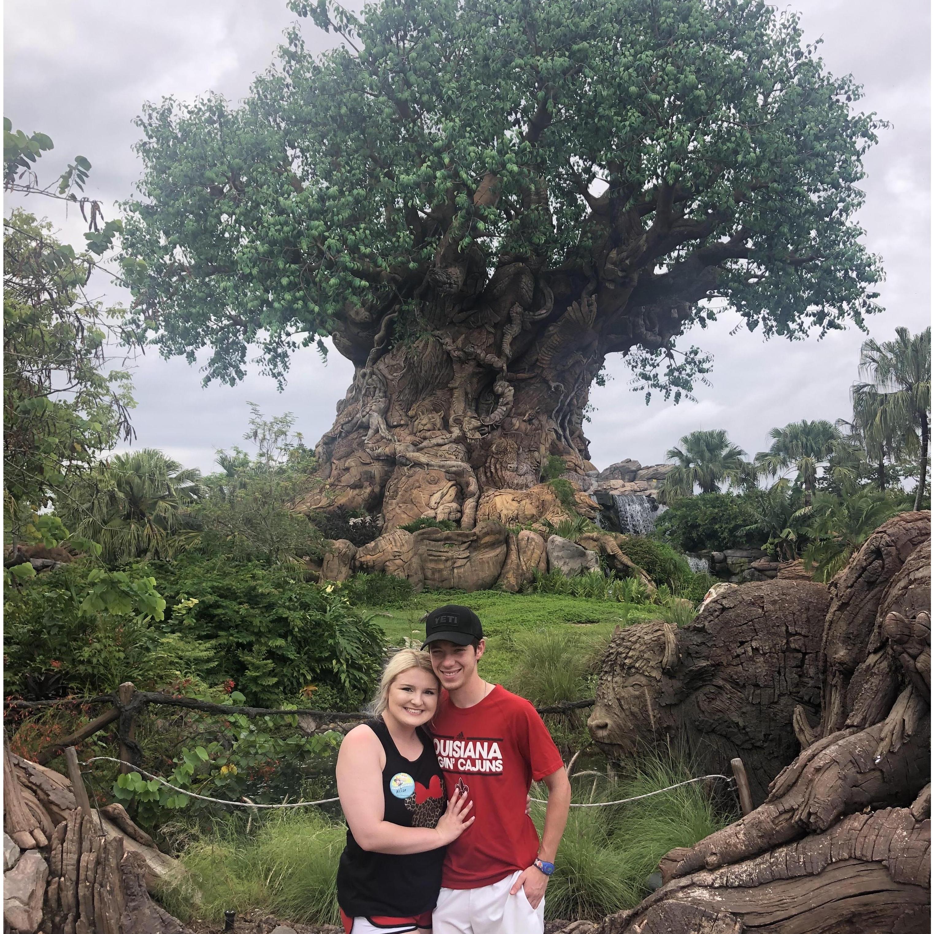 Our second Disney trip together!