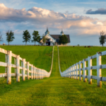 Kentucky Horse Park