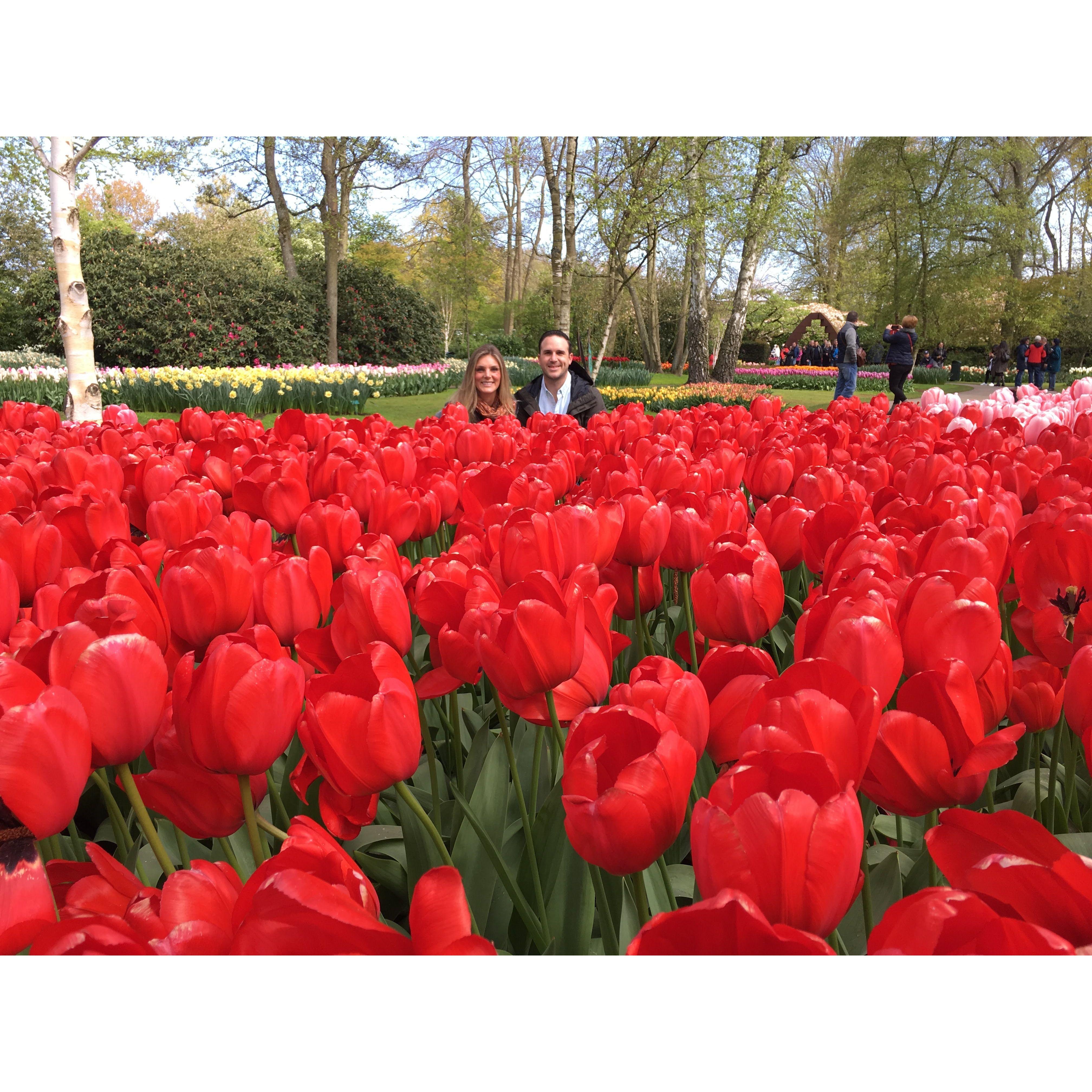 Two tulip lovers