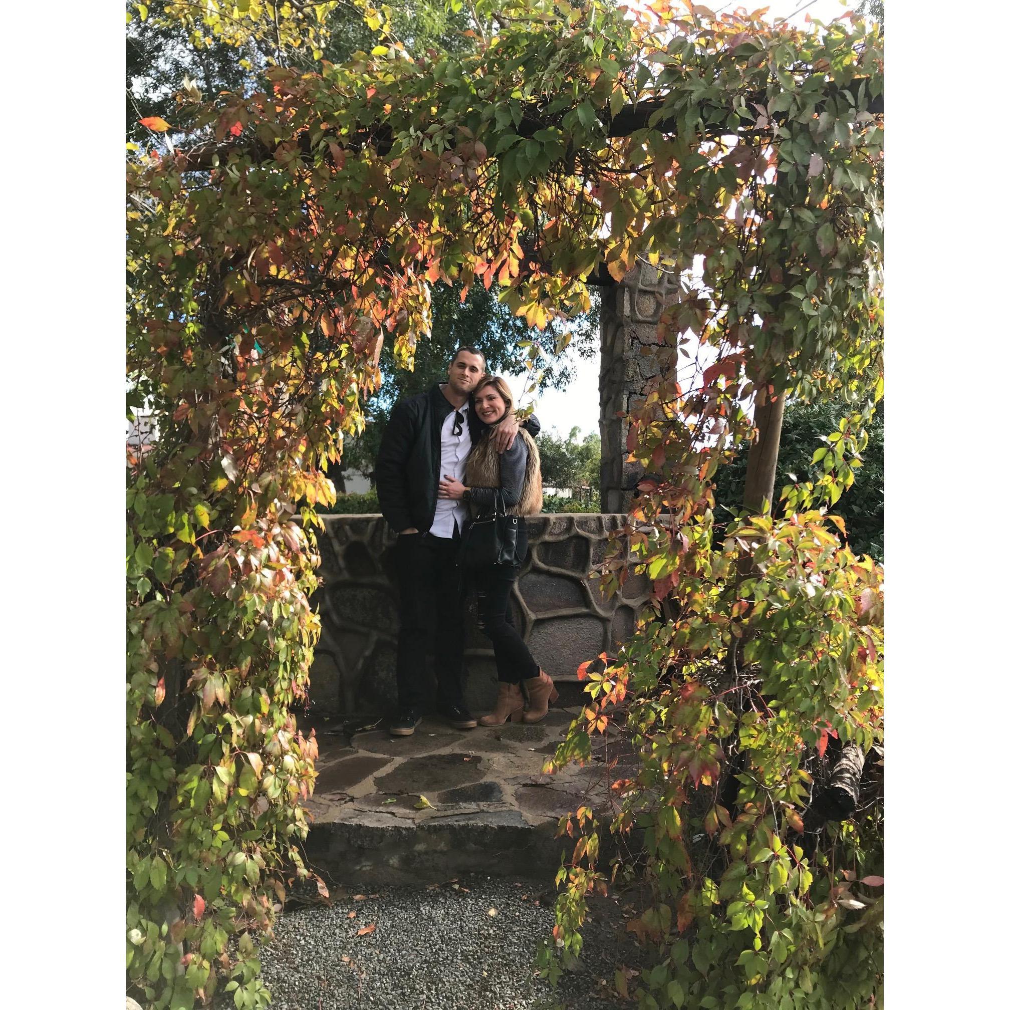 Wine tasting in the beautiful Valle de Guadalupe.