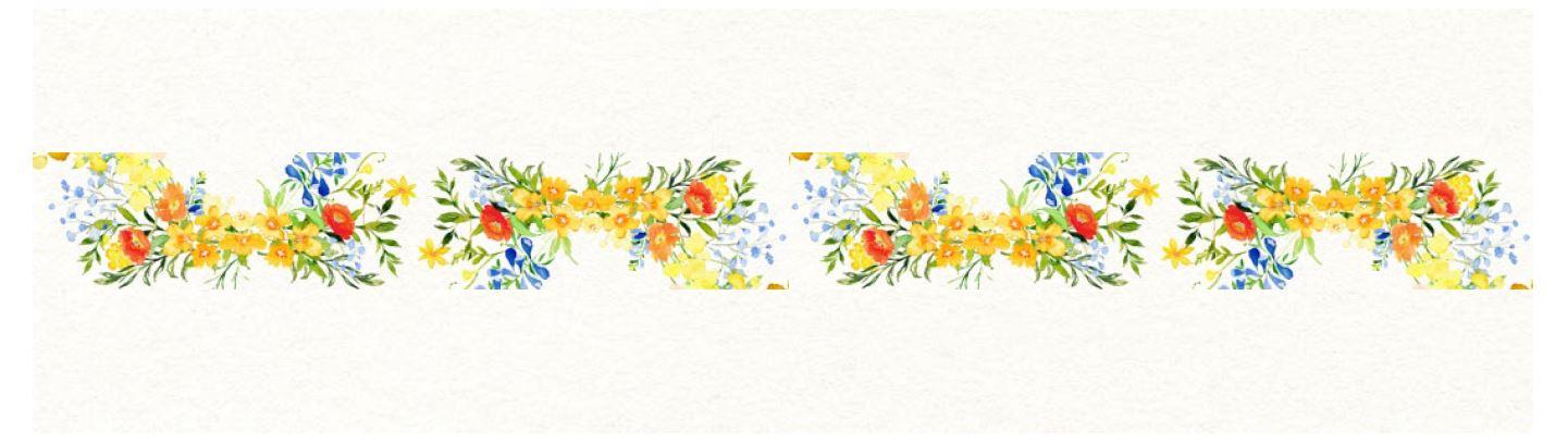 The Wedding Website of Lizzie Curley and Matt Petroccio