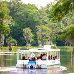 Wakulla Springs Historic Boat Tour