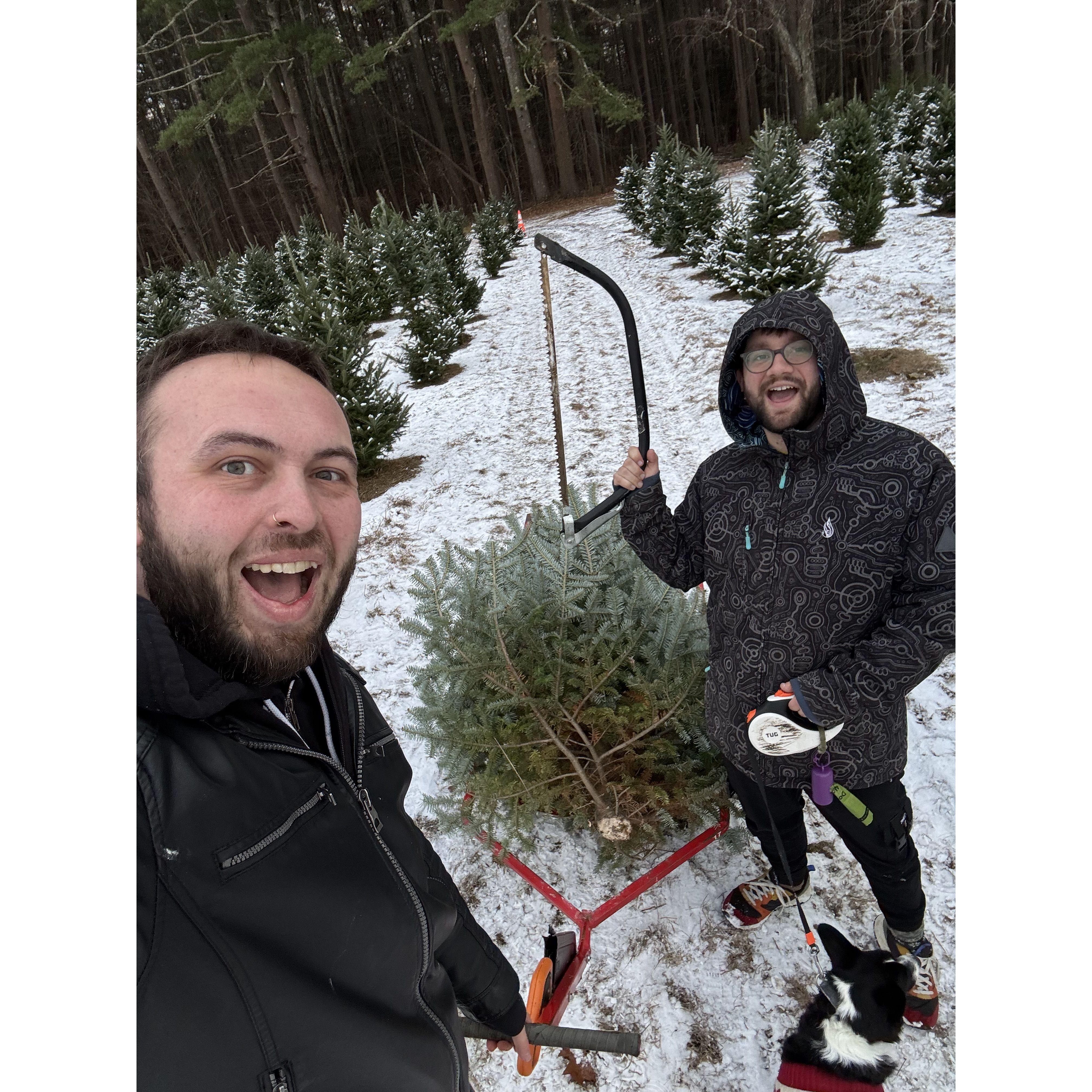 Our First [Real] Christmas Tree (2024)