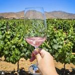 El Cielo Winery & Resort