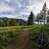 Visit some of our favorite hiking trails