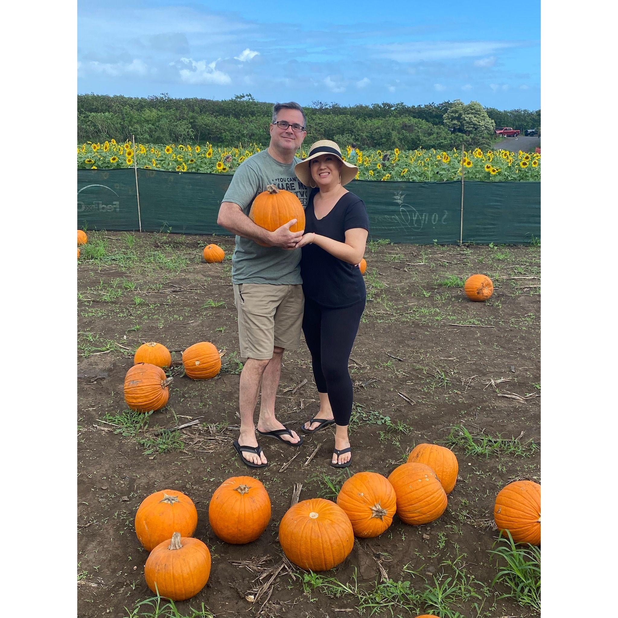 Our annual pumpkin picking...