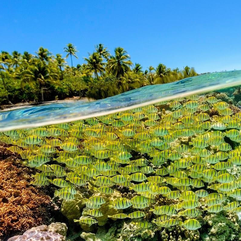 Crystal-Clear Water!