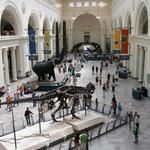 Field Museum