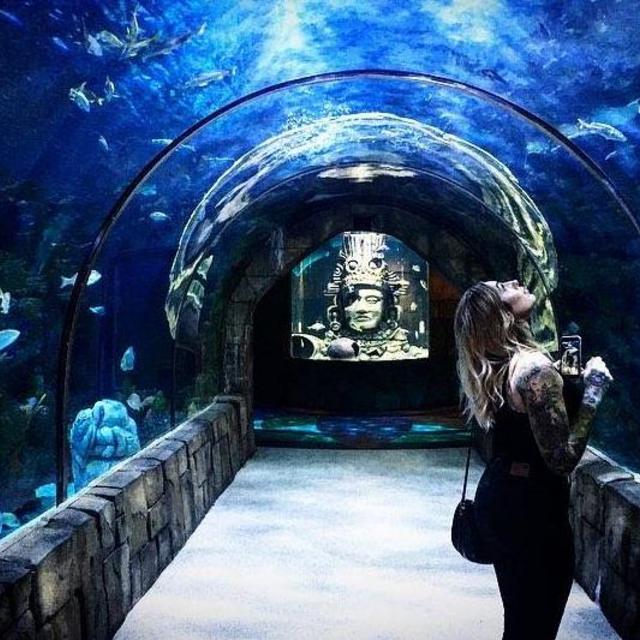 Visit the Audubon Aquarium