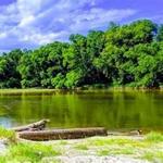 Bogue Chitto State Park