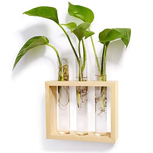 Mkono Wall Hanging Glass Planter Propagation Station Modern Flower Bud Vase in Wood Stand Rack Tabletop Terrarium for Hydroponics Plants, Home Office Decoration with 3 Test Tube, Small, Beige