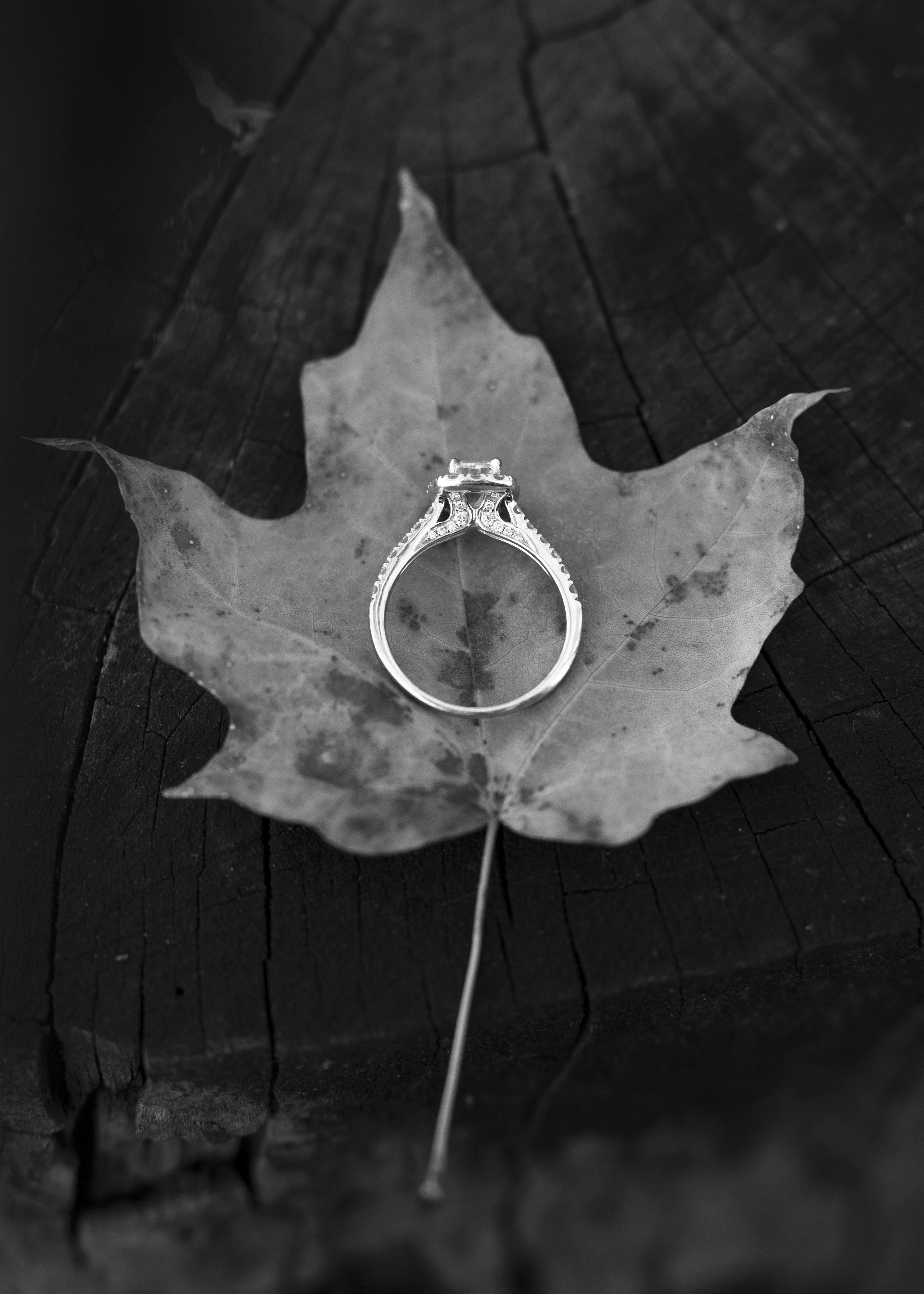 The Wedding Website of Henrietta Ruppert and Jake Whitcomb