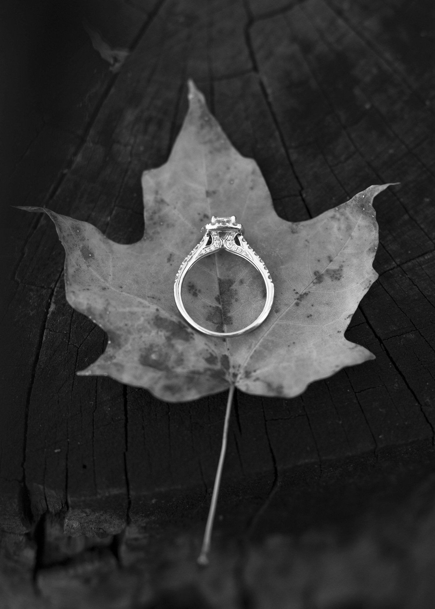 The Wedding Website of Henrietta Ruppert and Jake Whitcomb