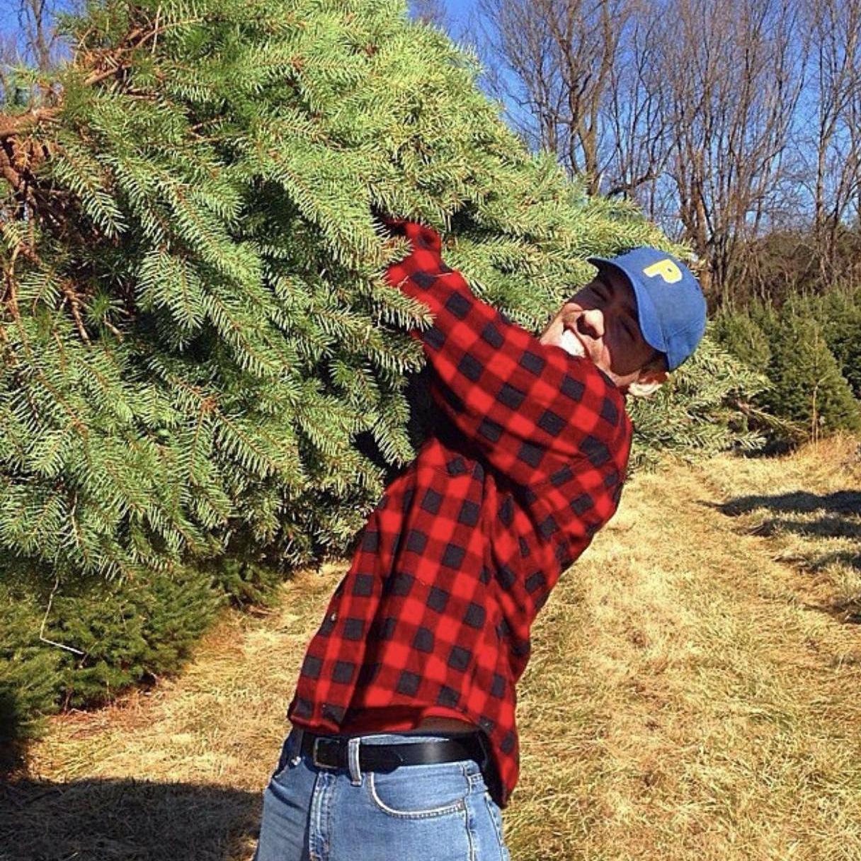 First Christmas Tree Cut - Butler's Orchard December 2014