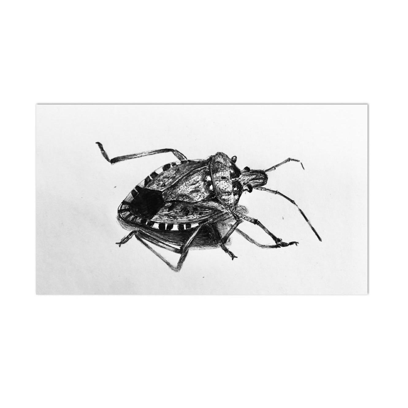 Determined 
Ink on Paper
5x7 
Framed
Suggested Price: $30