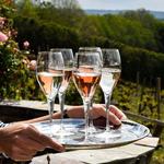 Old Mission Peninsula Wineries