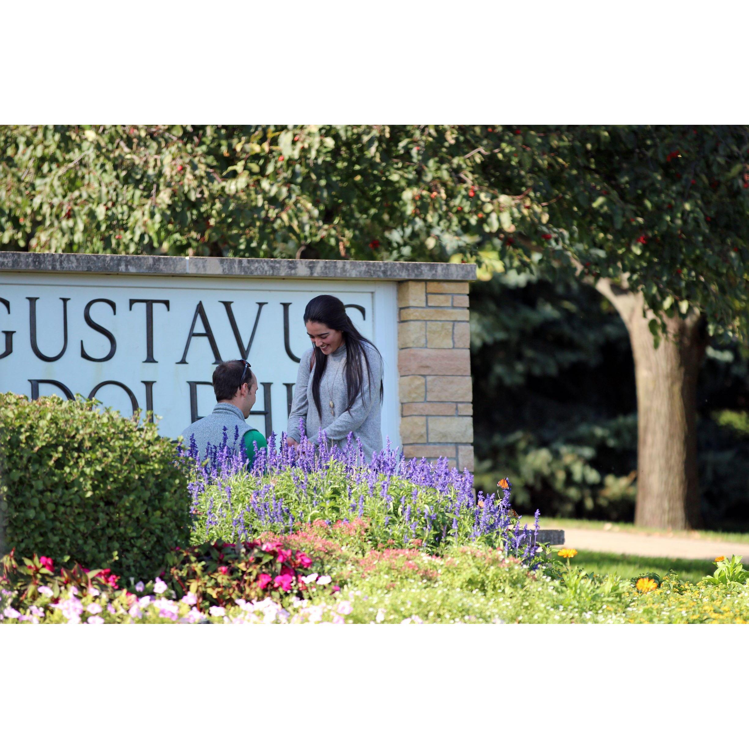 The proposal - Gustavus (2019)