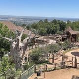 Cheyenne Mountain Zoo