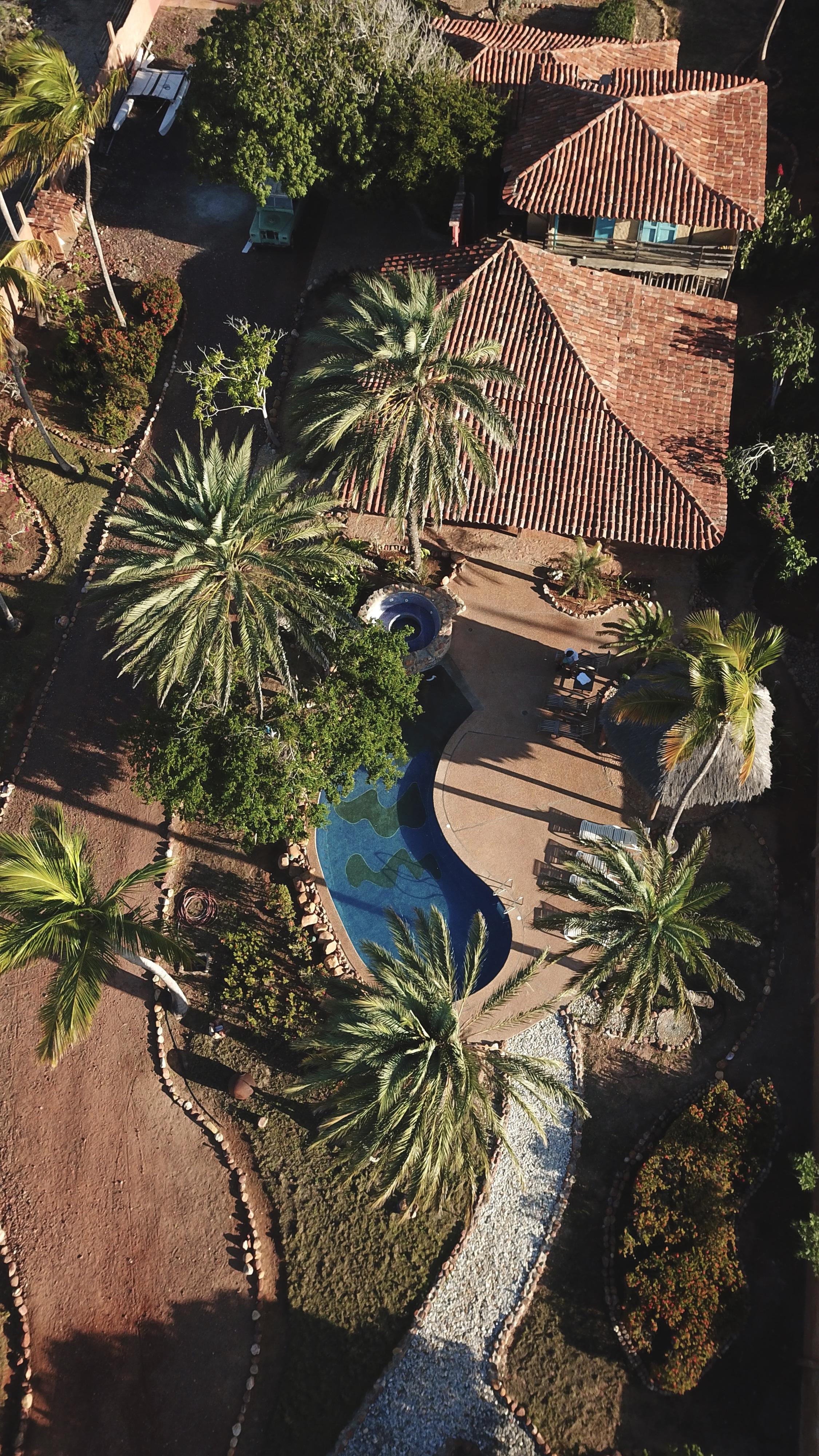 The Wedding Website of Valentina Torrealba and Diego Dominguez