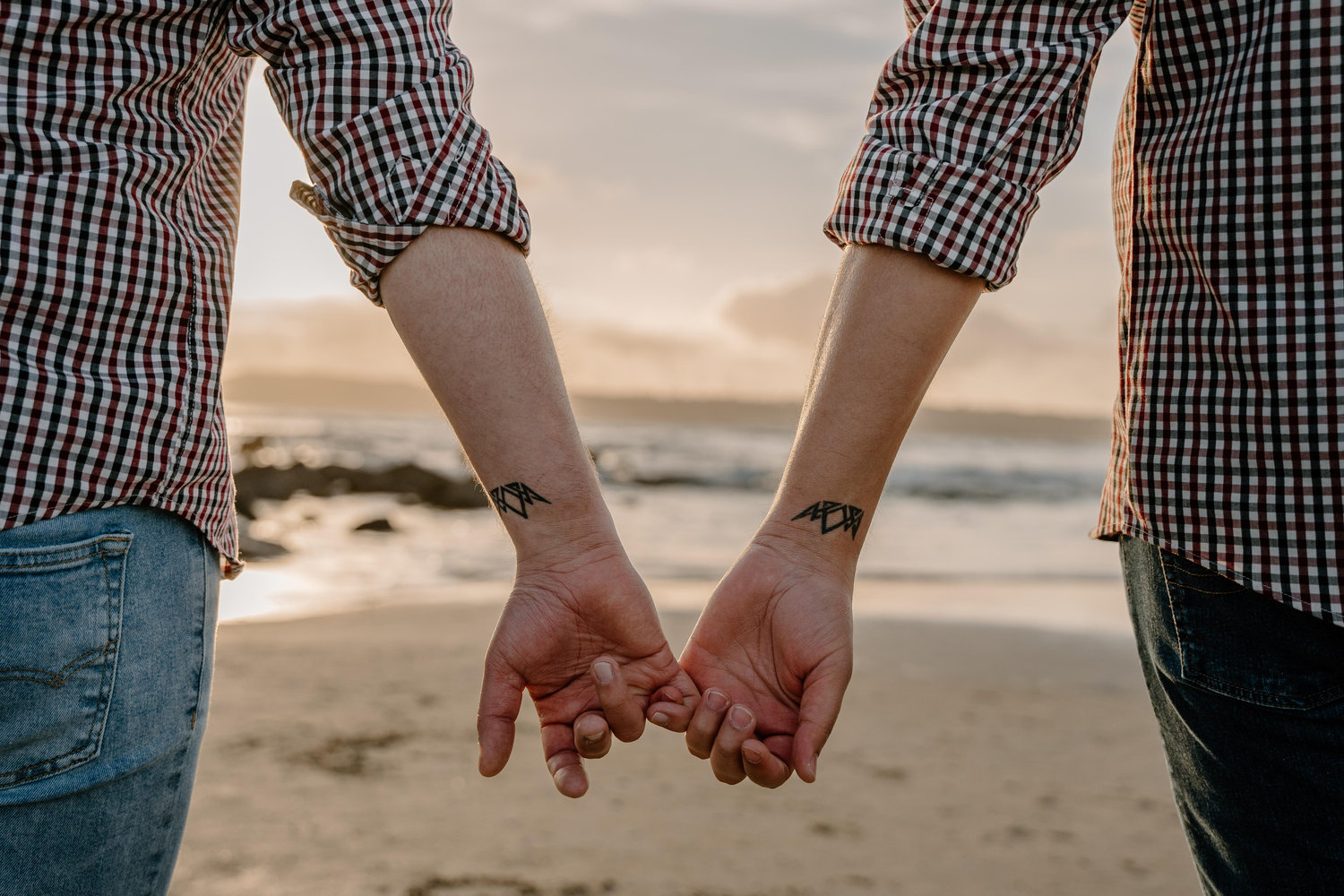 The Wedding Website of Isaiah Tadros and Drake Santamaria