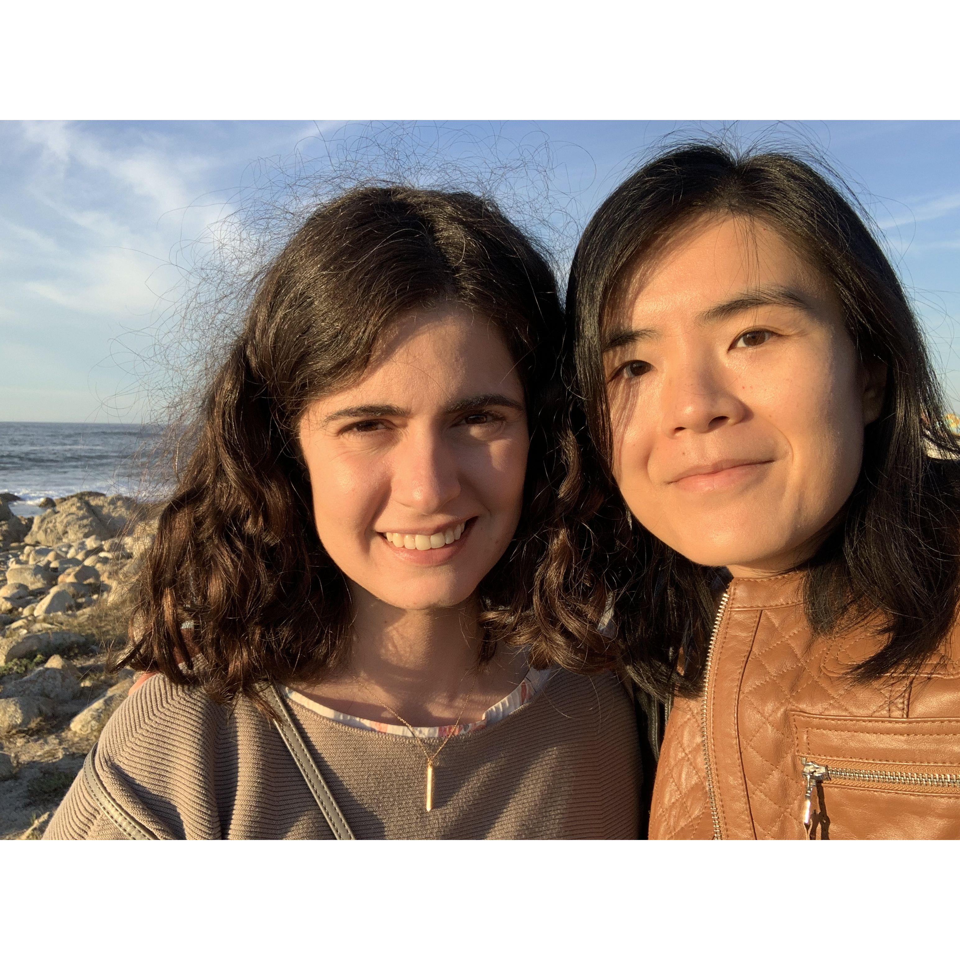 Road trip to Monterey, CA. Pit stop at seal's beach to watch elephant seals.