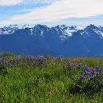 Port Angeles