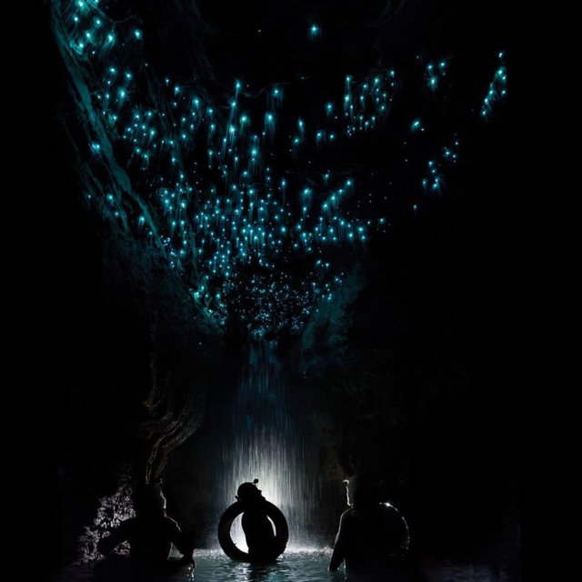 Glow Worm Caving