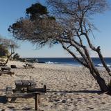 Sycamore Cove Beach