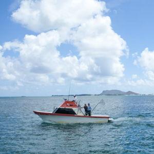 Fishing in Paradise