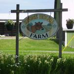 Stone House Farm