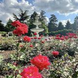 Colonial Park