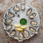 Hama Hama Oyster Saloon