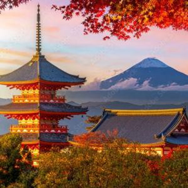 Honeymoon to Japan!