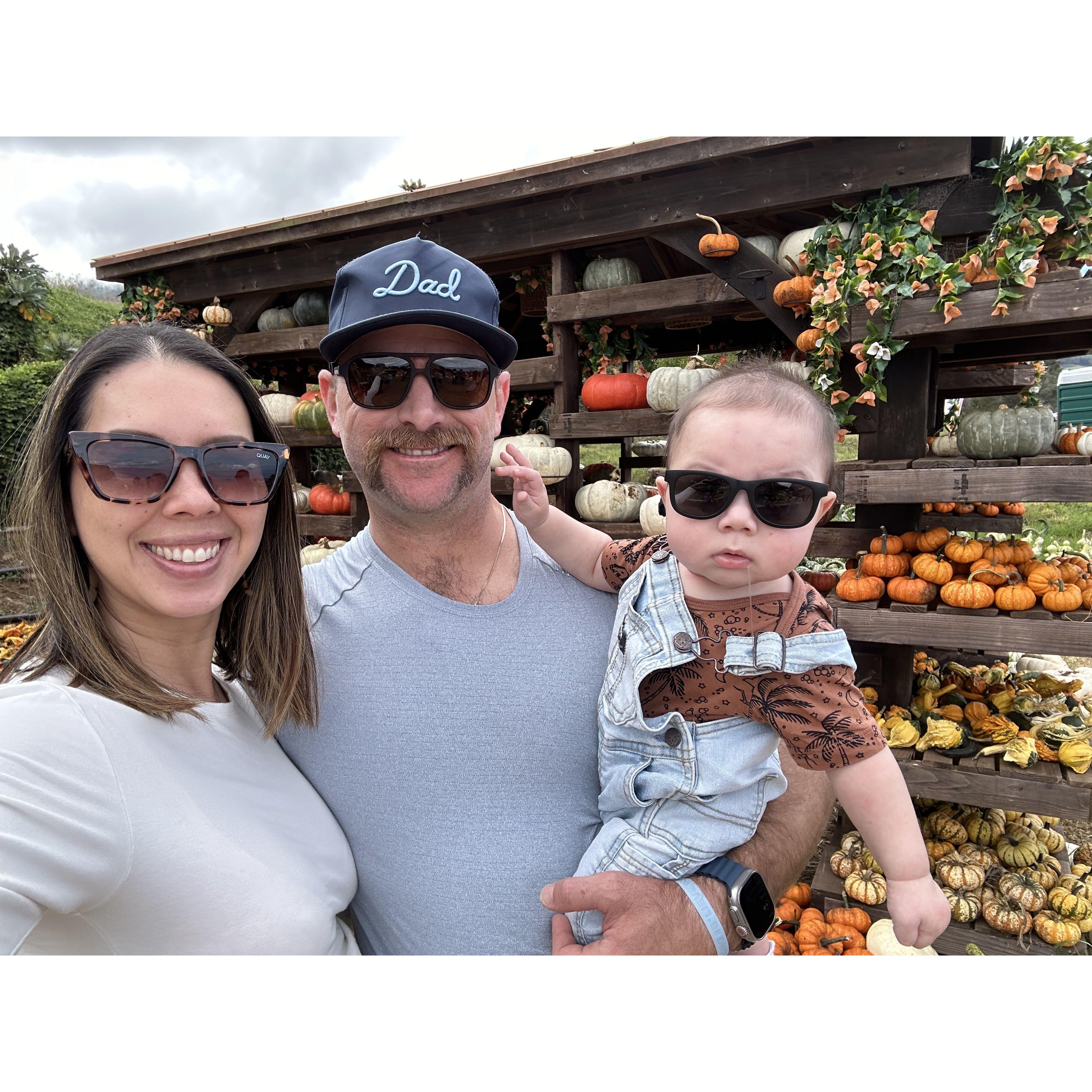 Pumpkin patch in Kula, Maui with our lil bub.