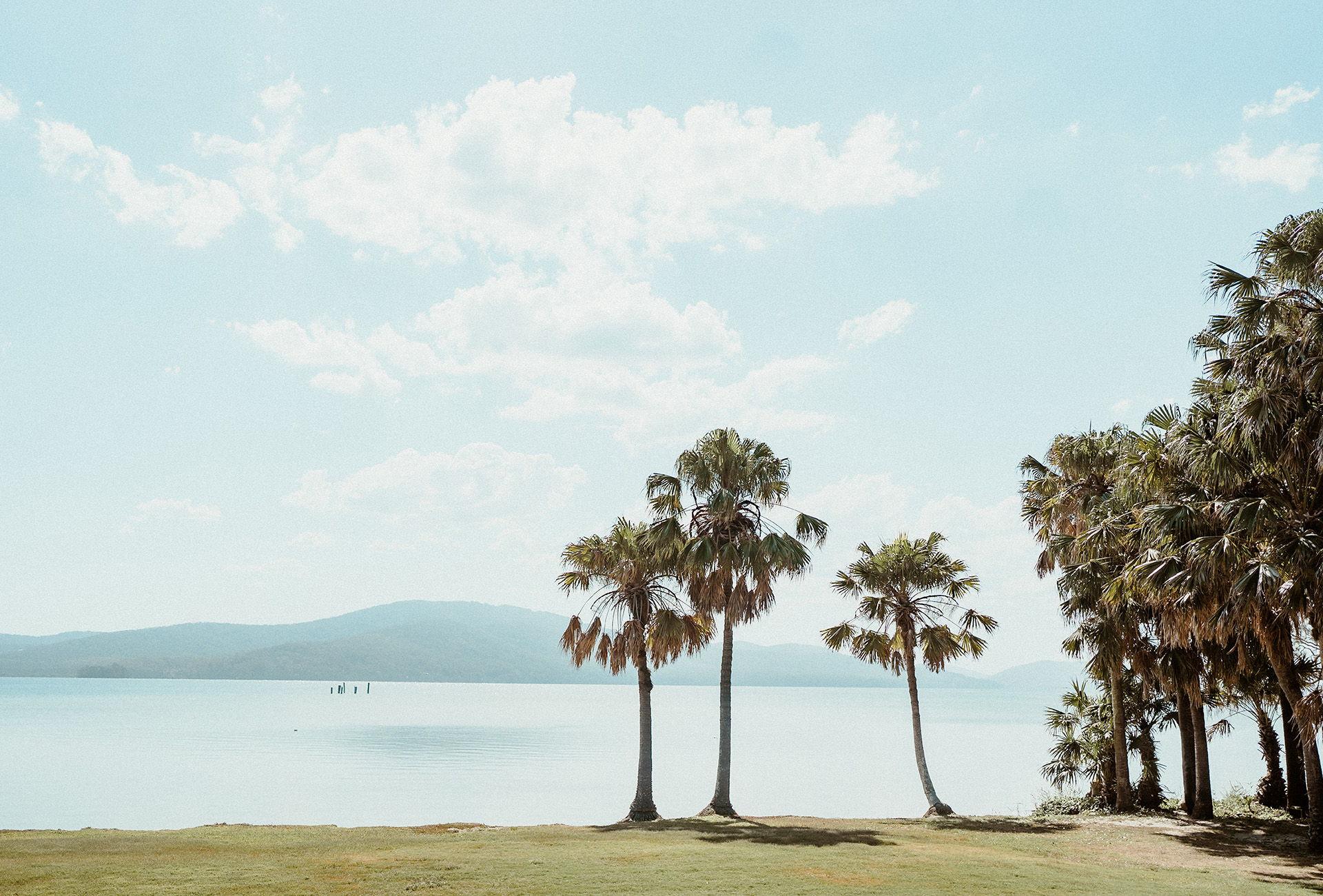 The Wedding Website of Nikita Nandoskar and Alex Apollonov